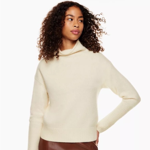 Aritzia Sweaters - Wilfred Cyprie Luxe Cashmere Sweater